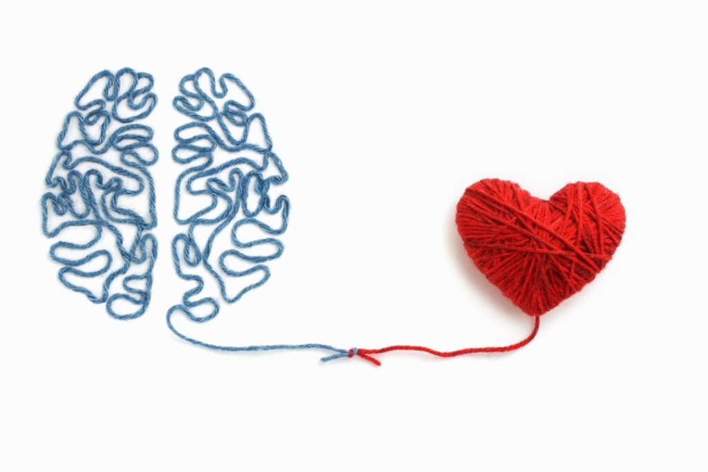 Blue yarn arranged to look like a brain and red yarn wound around a heart shape on a white background. The tail ends of the two yarns are tied together.